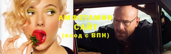 ПСИЛОЦИБИНОВЫЕ ГРИБЫ Горно-Алтайск