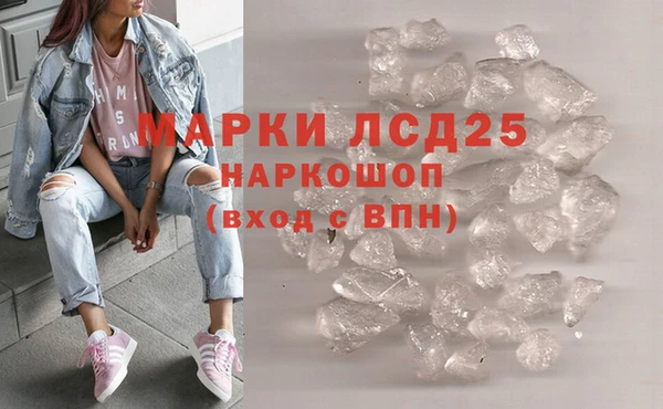 ПСИЛОЦИБИНОВЫЕ ГРИБЫ Горно-Алтайск