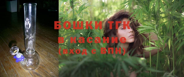 гашик Вязьма