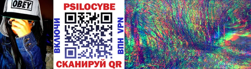 Псилоцибиновые грибы Psilocybe  omg вход  Дальнереченск  закладки 